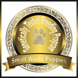 SMALL WORLD PUPPIES - Taurunum Angels Kennel